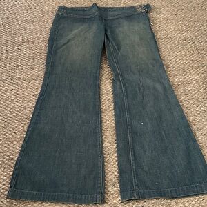 James Jeans Blue Flare Wide-Leg Jeans